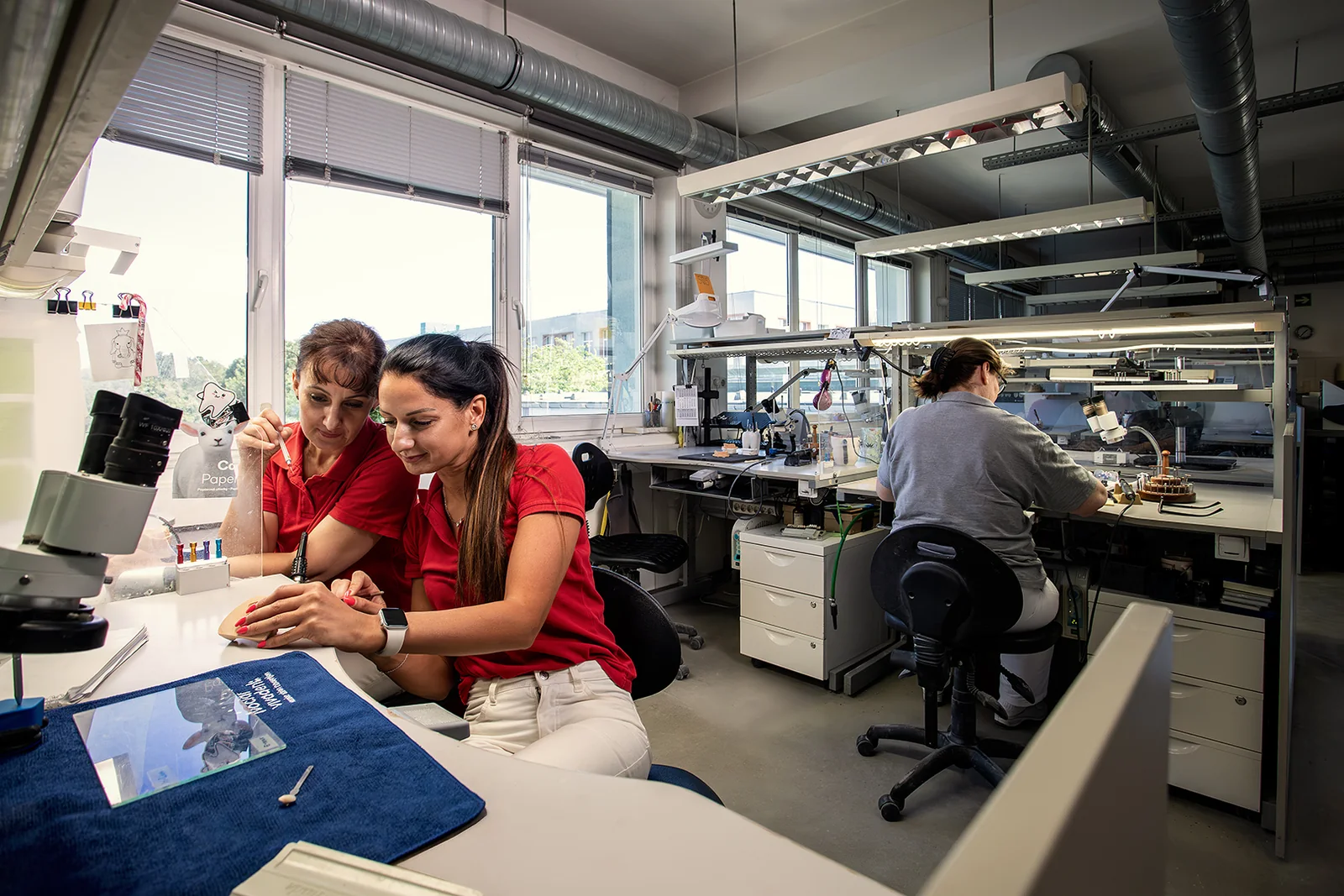 Zahntechnikerinnen bei der gemeinsamen Arbeit im Bridge Dental Labor